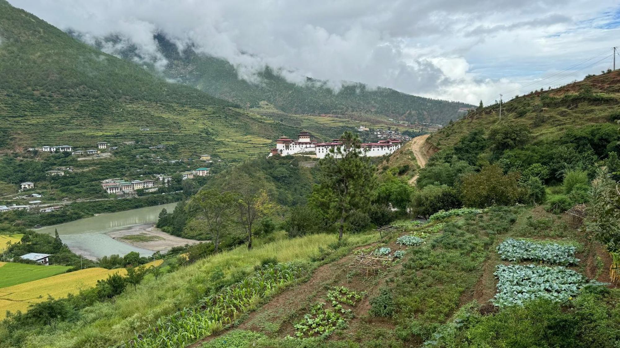 Wangdue Ecolodge Wangdue Phodrang Εξωτερικό φωτογραφία